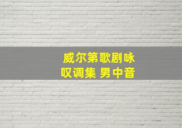 威尔第歌剧咏叹调集 男中音